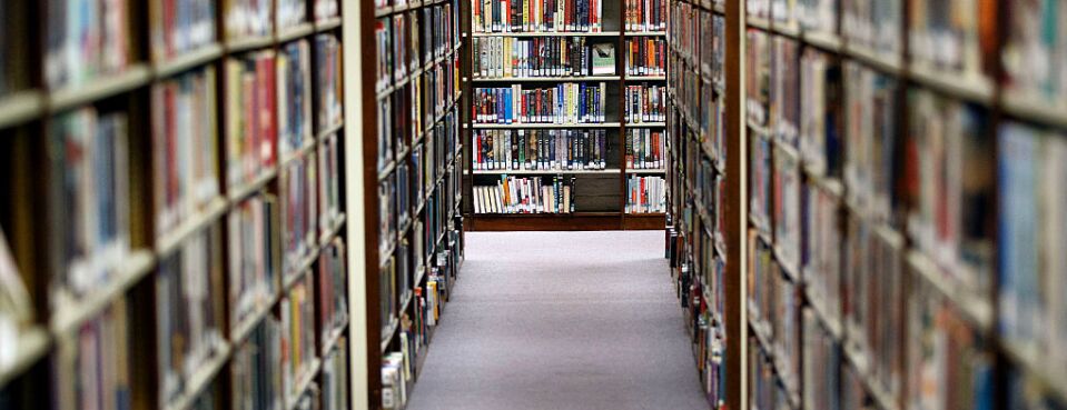 library shelves (used 8/3/18)