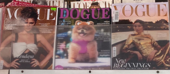 Condé Nast said Dogue magazine's website features pictures of newsstands with the magazine next to issues of Vogue.
