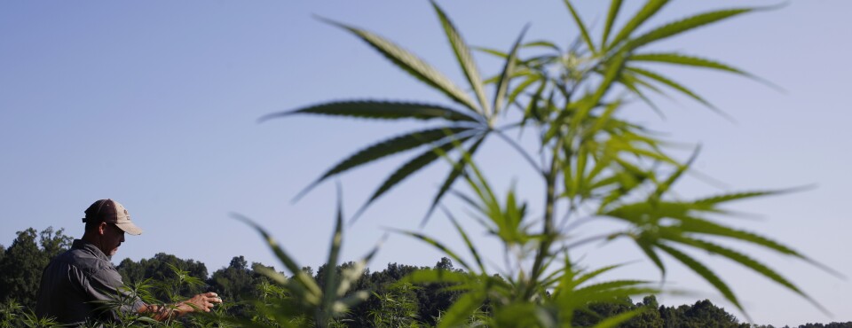 Hemp Businesses Fail to Revive Suit Targeting Wyoming Crackdown Hemp Businesses Fail to Revive Suit Targeting Wyoming Crackdown