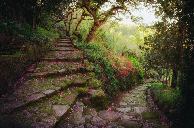 Nice and romantic footpath with flower covered stone stairs in the middle of a green dreamy forest in spring.