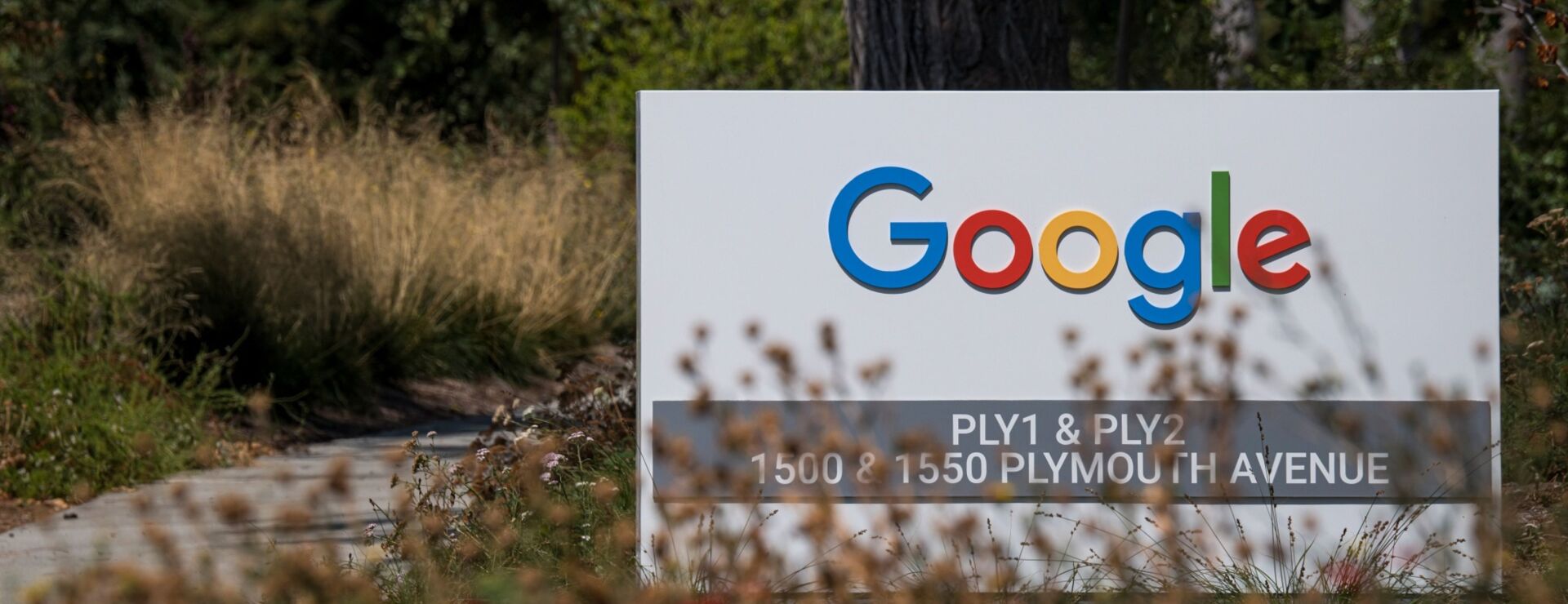 Google Wins Fight for Discovery in South Carolina Antitrust Suit