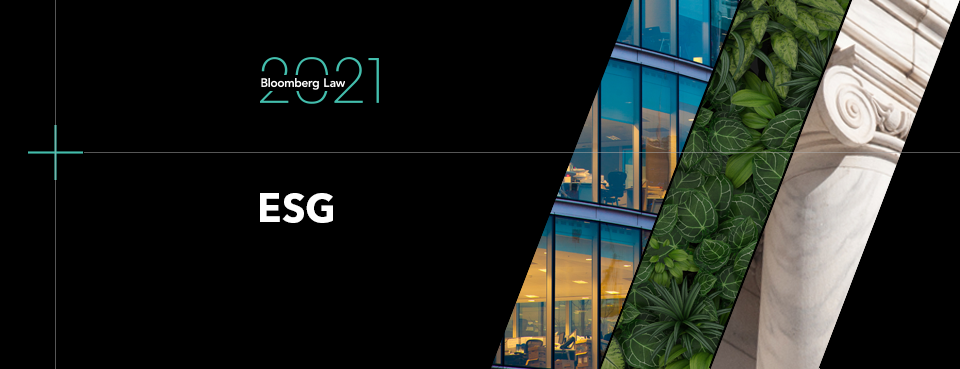 Analysis Will Investors Get The Esg Data They Want In 21