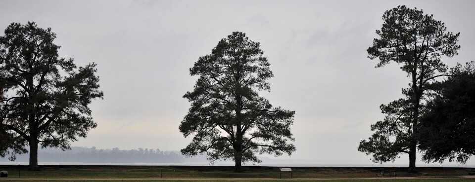 Environment + Energy Law cover image