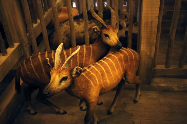 Noah S Ark Pitted Against Kentucky Schools In Property Tax Tiff Noah S Ark Pitted Against Kentucky Schools In Property Tax Tiff