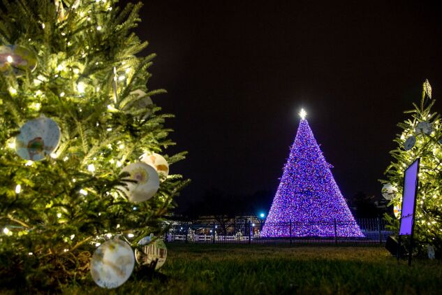 The National Christmas Tree last year in Washington, D.C.