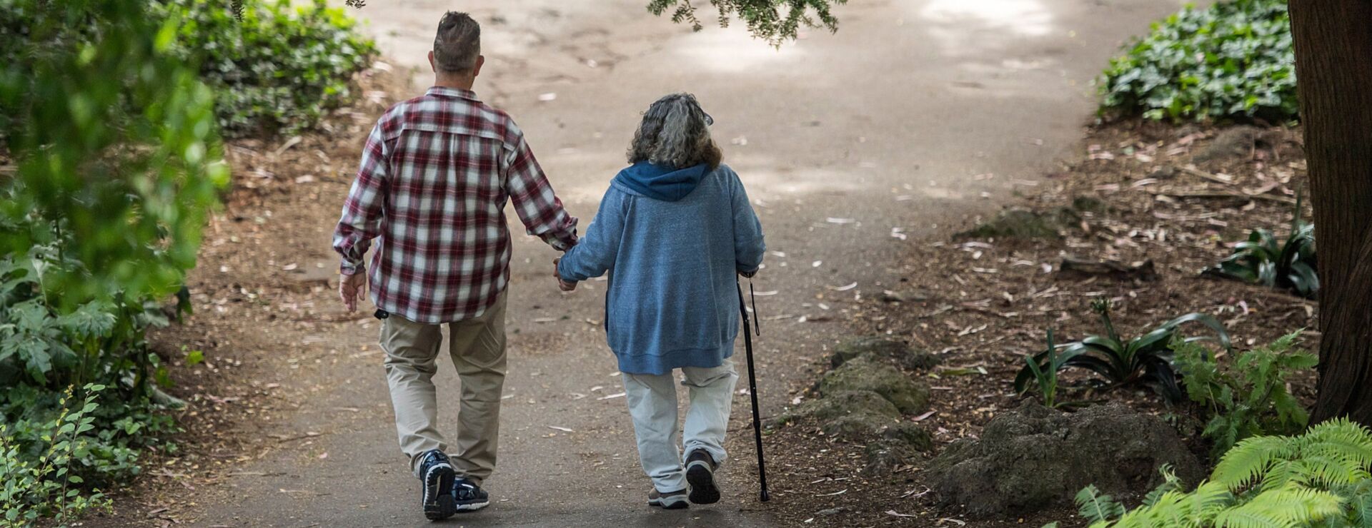 Estate Planning Legal Tech Firm Trust & Will Taps Top Lawyer (1) - Bloomberg Law